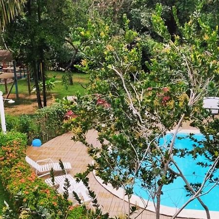 Pousada Ecogreen Imbassai Mata de Sao Joao Exteriör bild